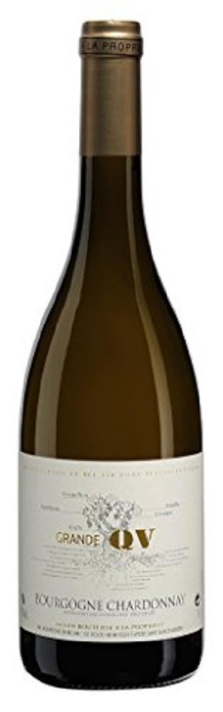 BOURGOGNE CHARDONNAY RODIER 2023