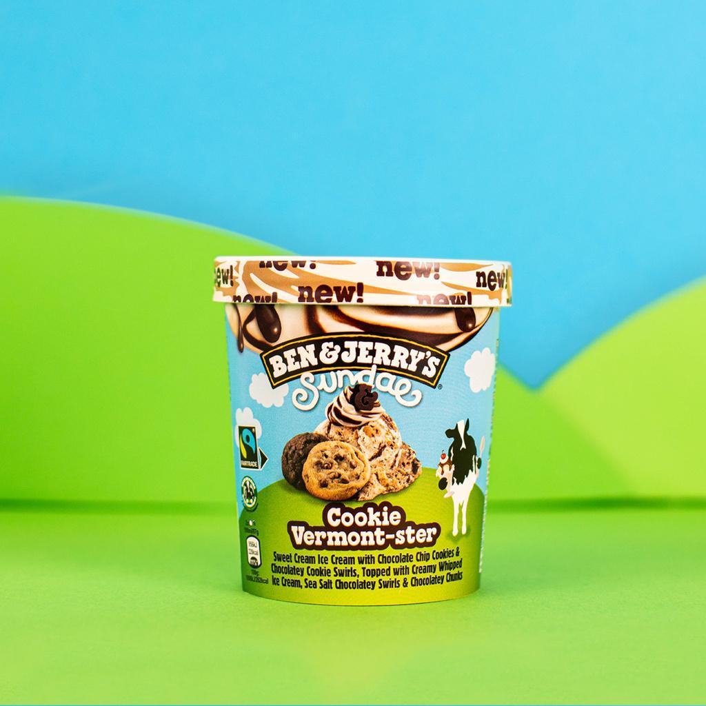 Ben & Jerry's Glace en Pot Sundae Cookie Vermont-ster 427ml