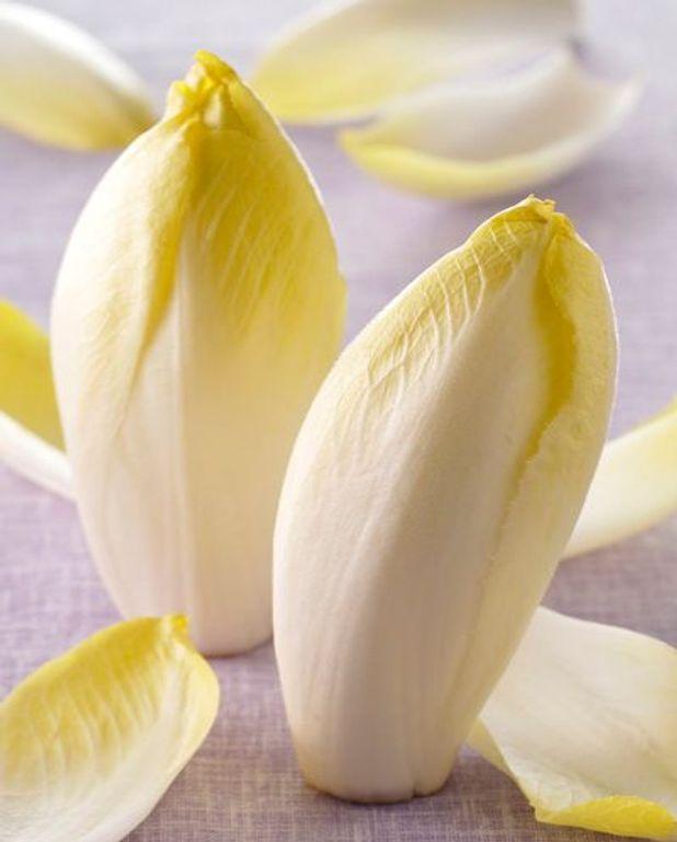 ENDIVE VRAC 5K CAT 1 BELG