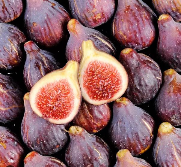 FIGUES NOIRES CAT1 ITALIE