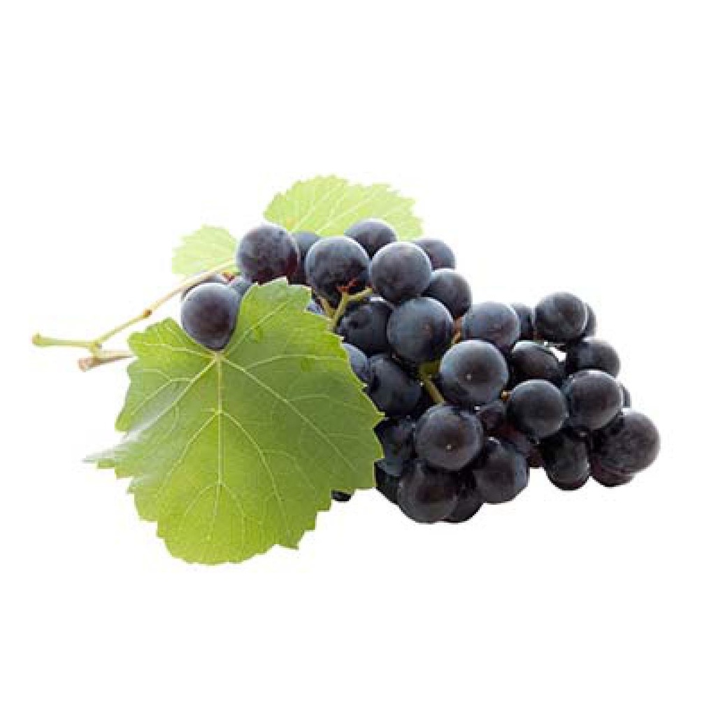 GRENADE CAT 1 ESPAGNE