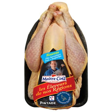 4 Maître Coq Guinea Fowls