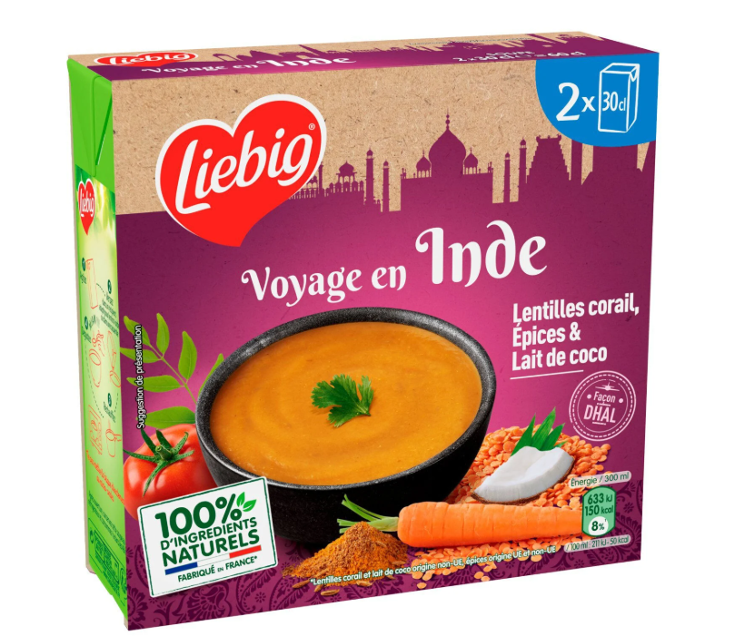 VOYAGE EN INDE