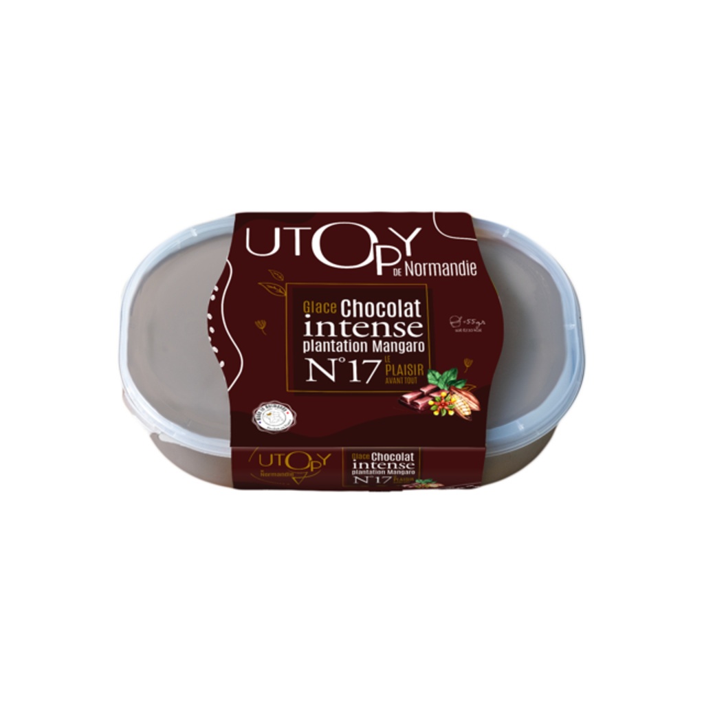 GLACE CHOCOLAT 60% 450G