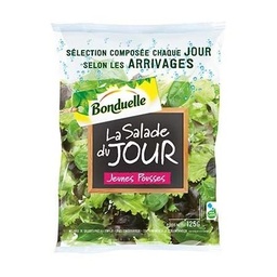 [876946] Salade Bonduelle de nos producteurs jeunes pousses   125g
