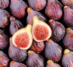 [986364] FIGUES NOIRES CAT1 ITALIE