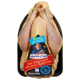 [879205] X4 PINTADE MAITRE COQ
