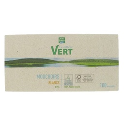[770644] LE REFLEXE VERT  1X100 3 PLY REC EUE FC