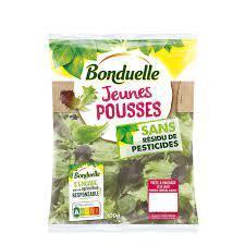 [940304] RESISTANT LETTUCE SPROUTS 100G BOND