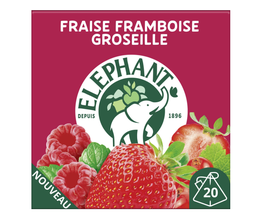 [159145] INF.FRAISFRAMBGROS.MTHE