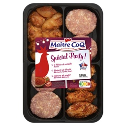 [869941] PARTY GRILL PLATER 500G