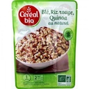 Organic Cereal Trio Wheat Red Rice Quinoa 220g