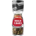 Ducros Moulin 5 Baies Doux 26g