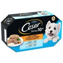 CESAR Barquettes en gelée délicate 4 variétés pour chien senior 4x150g