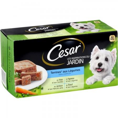 CESAR Barquettes LES TERRINES DU JARDIN 4 variétés pour chien adulte 4x300g