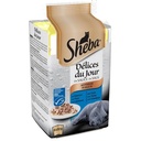 SHEBA Daily Delights Fish in Gravy Fresh Pouches for Cats 6x50g
