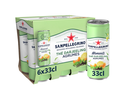 SANPELLEGRINO MOMENTI Thé Darjeeling Agrumes 6x33cl
