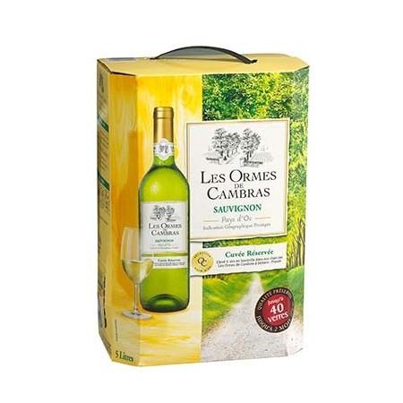 BIB WINE PAYS SAUVIGNON 5L