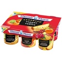 Y.FRUITS Mixed Fruits Yogurts x6 Nova