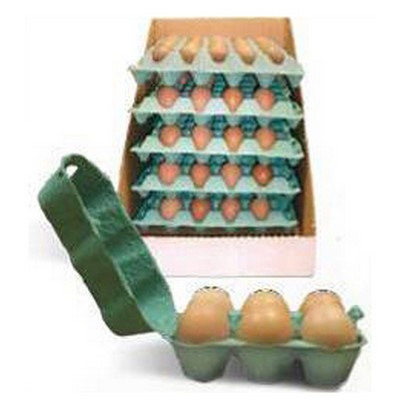 EGGS ' VERY BIG'  PIECES