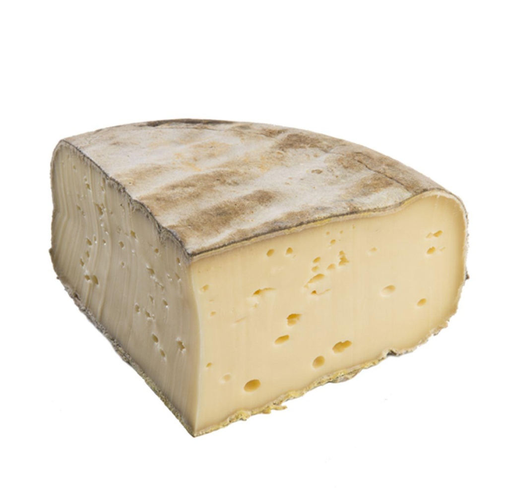 Auvergne Mountain Tome Cheese 6P