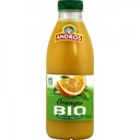 Andros Jus BIO Orange