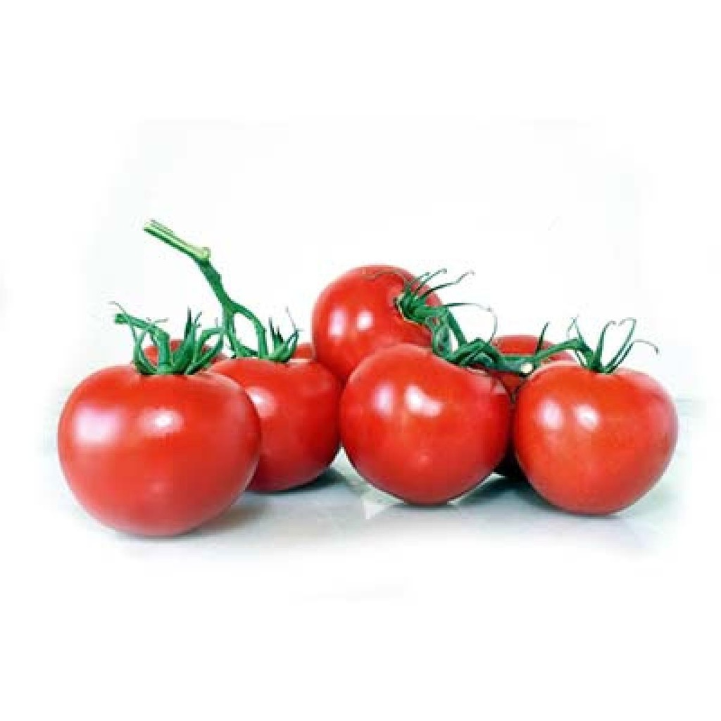 TOMATE ANANAS ANTAN VRAC