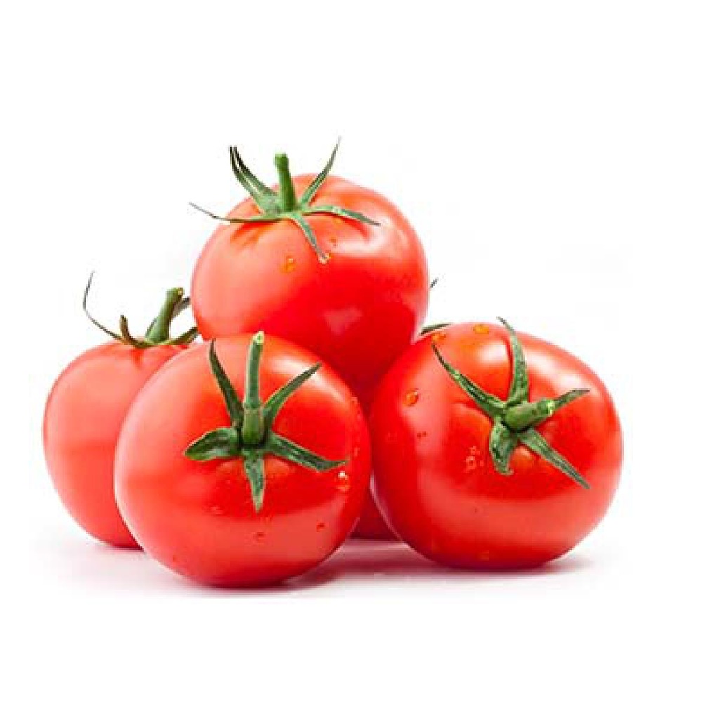 Loose Rebelion Tomato Cat1