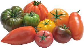 Antan-Style Tomato 3.4kg