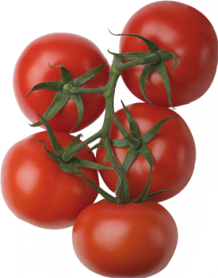 Round Tomato CAL67 CAT1 Loose 6kg