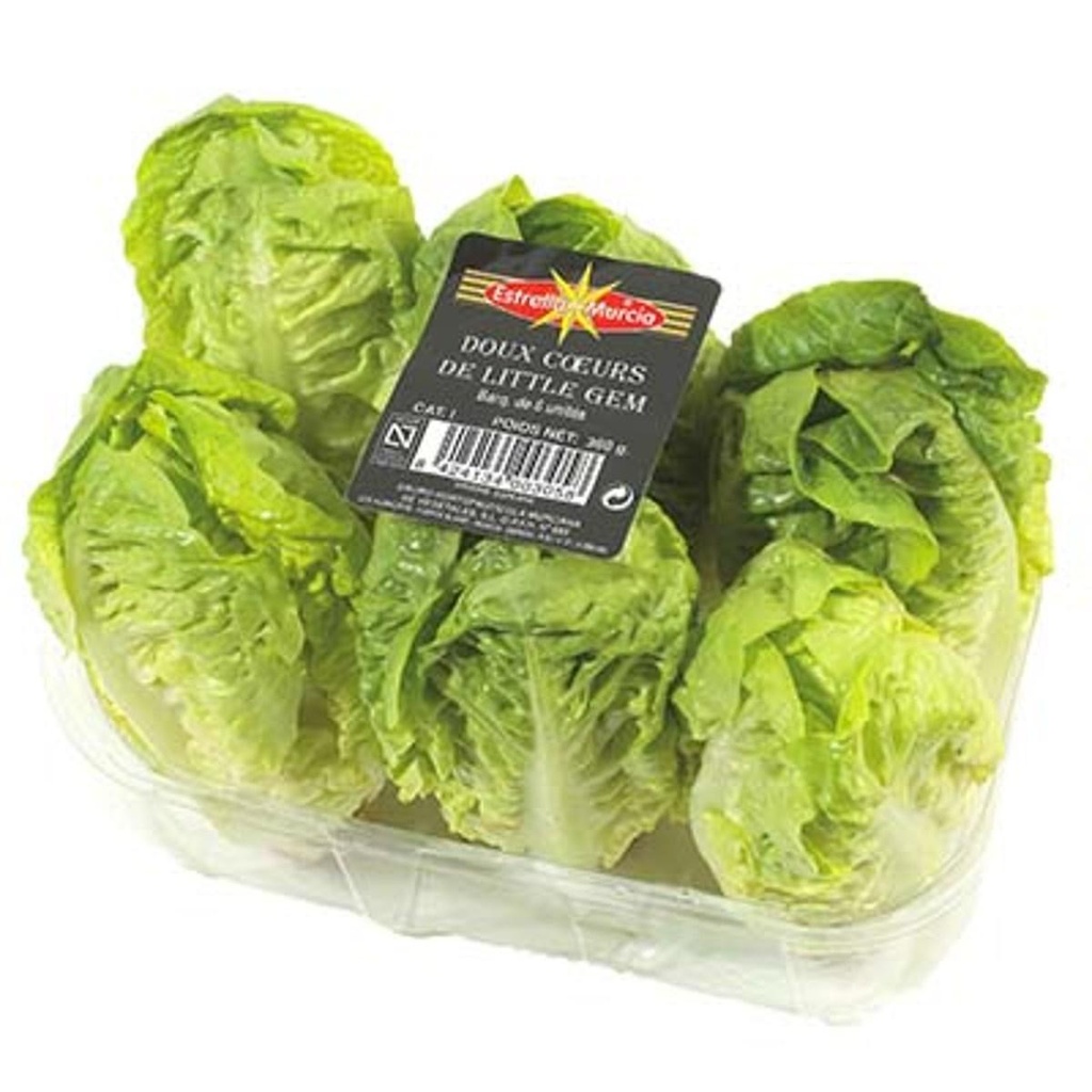 CAROTTE LAVEE BQ 1KG BIO