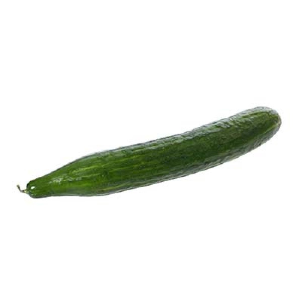 CONCOMBRE CAL 400/500G ES