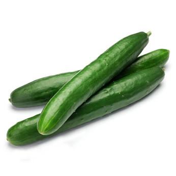 Organic Long Cucumber