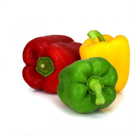 POIVRON TRICOLOR SAC 500G