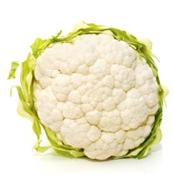 Large Cauliflower Size 6 France