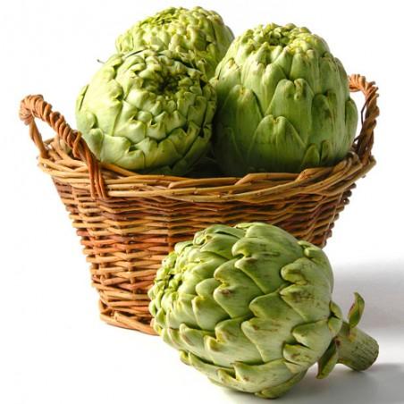 Artichoke Cal12 France
