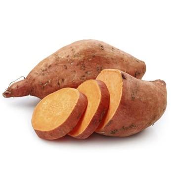 Sweet Potato CAT1 Egypt