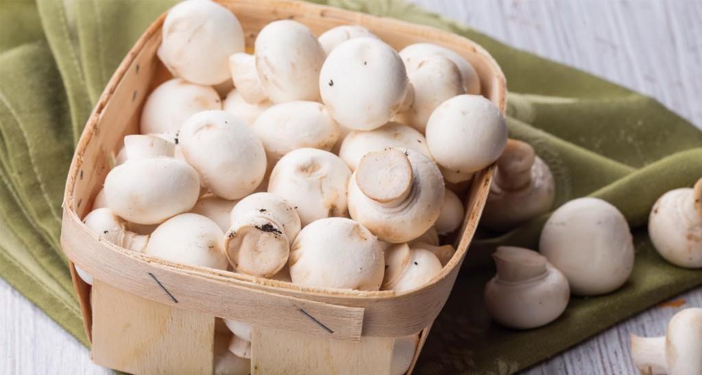 Whole White Mushroom Stems 3kg