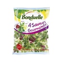 Salade Bonduelle 4 saveurs gourmandes roquette mâche chicorée rouge et frisée   160g
