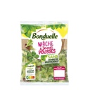 Salade Bonduelle mâche et jeunes pousses sans résidu de pesticides   100g