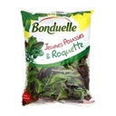 Salade Bonduelle 4 saveurs gourmandes roquette mâche chicorée rouge et frisée   145g