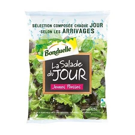 Salade Bonduelle de nos producteurs jeunes pousses   125g