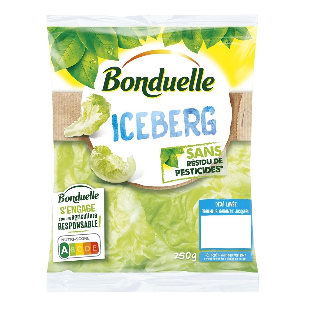 Salade Bonduelle iceberg sans résidu de pesticides   250g