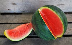 Mini Watermelon Spain