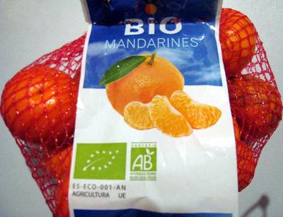 Organic Clemenvilla Mandarins 1kg Spain