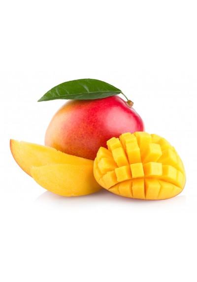 MANGUE AVION X 6 MEXIQUE