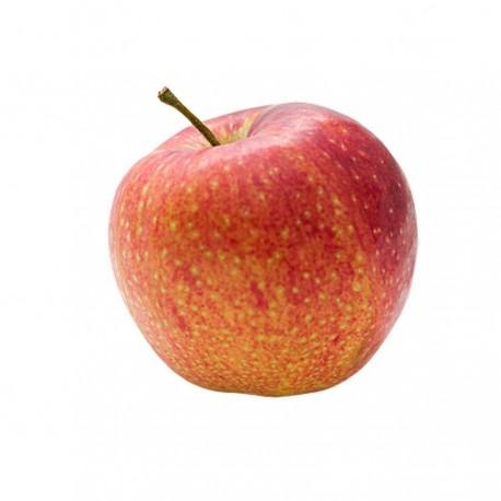 BQ POMME GALAX4 BIO ITALI