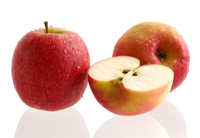 Clochard Apple CAL150/170