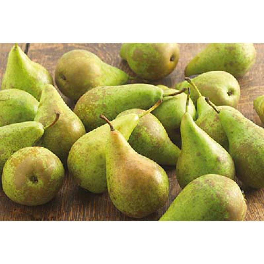 Loose William Pear 1 FR