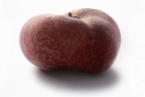 CLEMENTINE FEUIL BIO 1KG